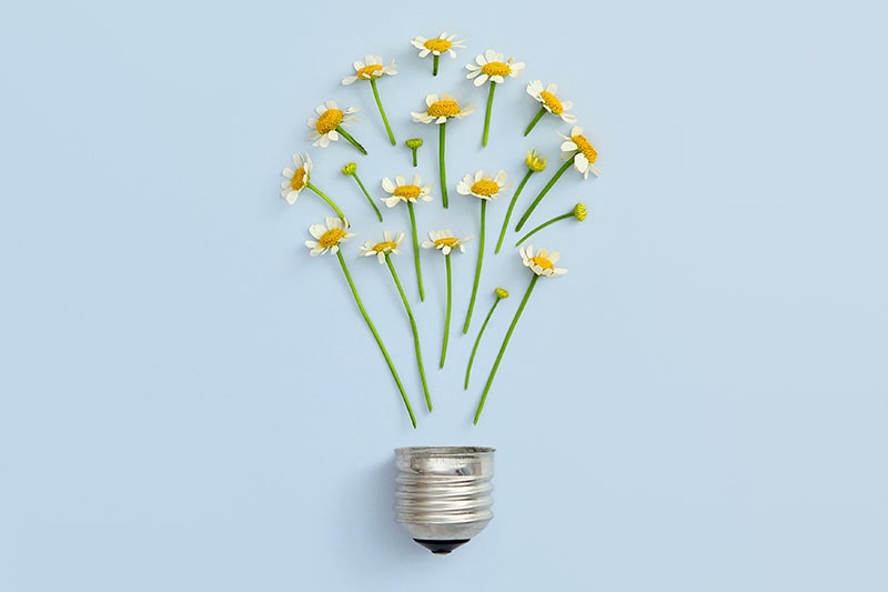 A light bulb made up of yellow flowers.